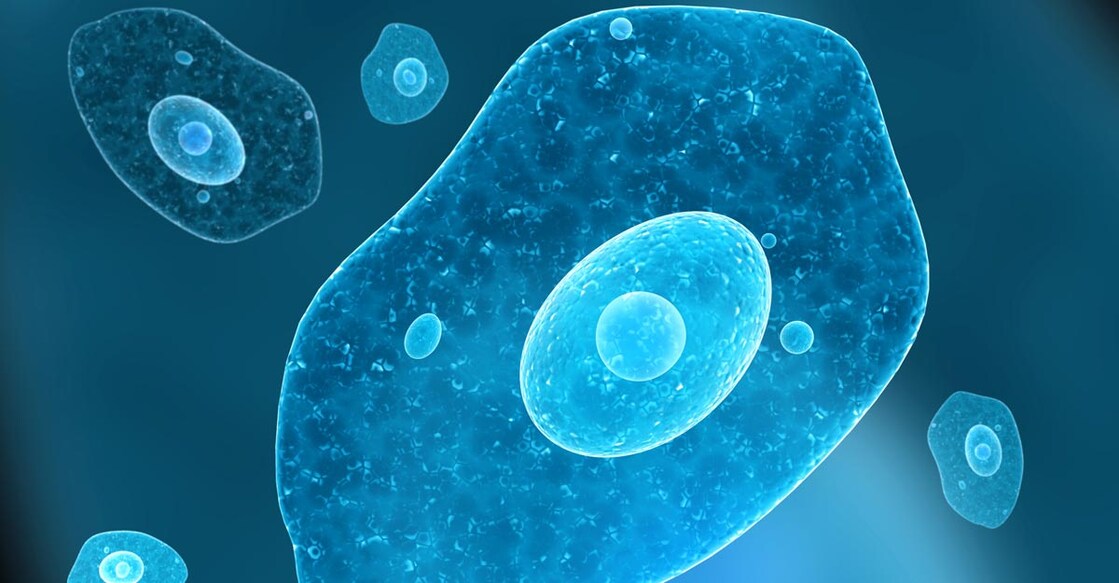 Texas on alert over brain-eating amoeba after death of 6-year-old