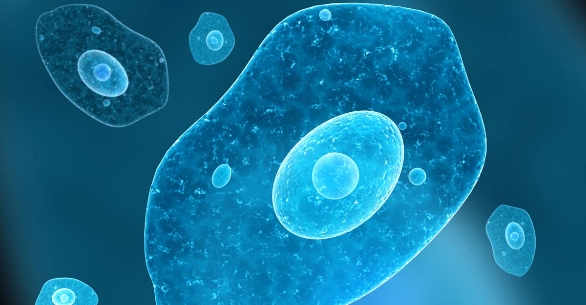 Texas on alert over brain-eating amoeba after death of 6-year-old