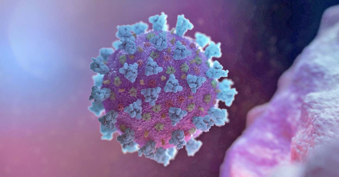 A computer image created by Nexu Science Communication together with Trinity College in Dublin, shows a model structurally representative of a betacoronavirus which is the type of virus linked to COVID-19,  shared with Reuters on February 18, 2020. NEXU Science Communication/via Reuters/File Photo