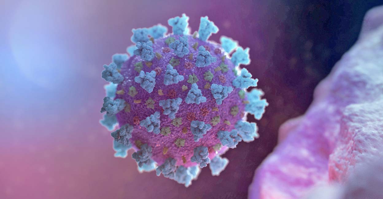 A computer image created by Nexu Science Communication together with Trinity College in Dublin, shows a model structurally representative of a betacoronavirus which is the type of virus linked to COVID-19,  shared with Reuters on February 18, 2020. NEXU Science Communication/via Reuters/File Photo