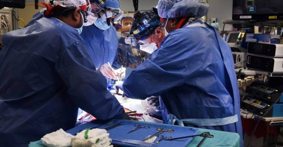 In a medical first, US surgeons transplant pig heart into human patient