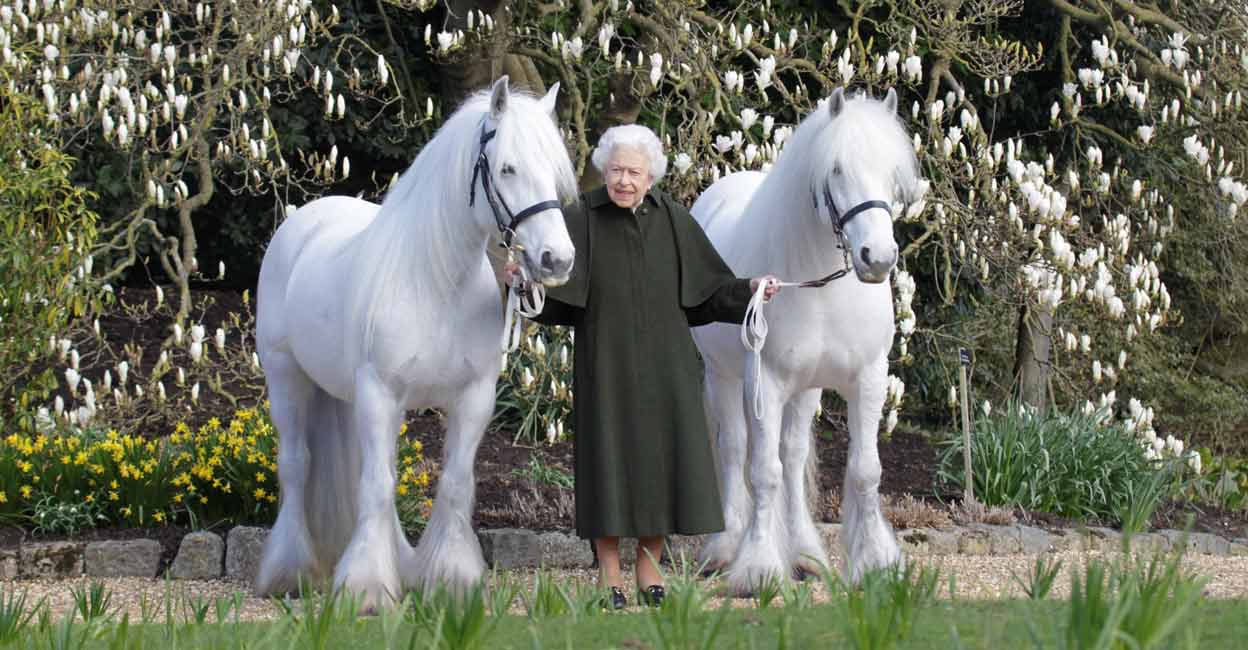 BRITAIN-ROYALS Queen Elizabeth II holds her Fell ponies, Bybeck Nightingale (right) and Bybeck Katie in this handout picture released April 20, 2022 by The Royal Windsor Horse Show to mark the occasion of her 96th birthday. Photo: Reuters