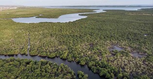 Explained | What is ENACT Partnership?