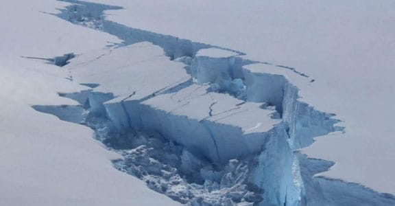 ice ice