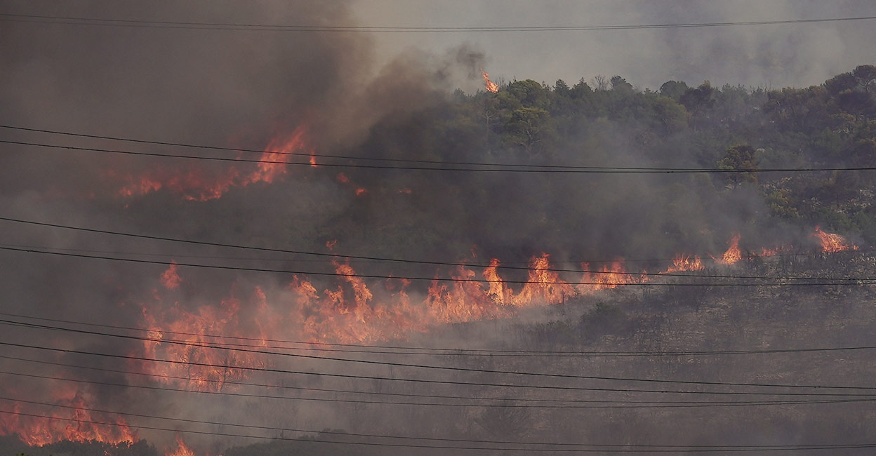Firefighters operate as wildfire burns near the village of Agios Sotira, west of Athens. Photo: Reuters/Fedja Grulovic