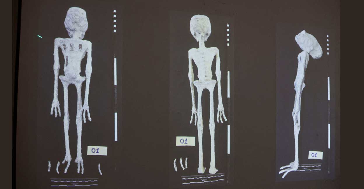 An X-rays and study carried out by the Institute of Legal Medicine of Peru on the 'alien mummies' that concluded that they are dolls made with animal bones. Photo: Reuters/Sebastian Castaneda