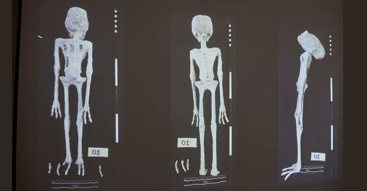 An X-rays and study carried out by the Institute of Legal Medicine of Peru on the 'alien mummies' that concluded that they are dolls made with animal bones. Photo: Reuters/Sebastian Castaneda