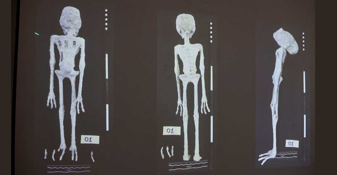 Alien Mummies An X-rays and study carried out by the Institute of Legal Medicine of Peru on the 'alien mummies' that concluded that they are dolls made with animal bones. Photo: Reuters/Sebastian Castaneda