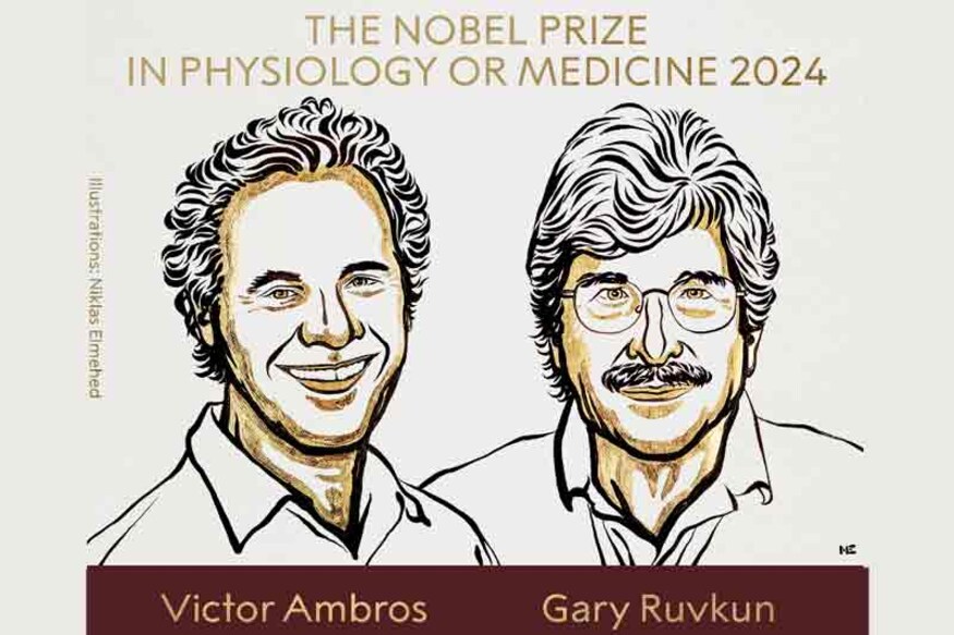 Victor Ambros and Gary Ruvkun.  Photo: X/Nobel Prize