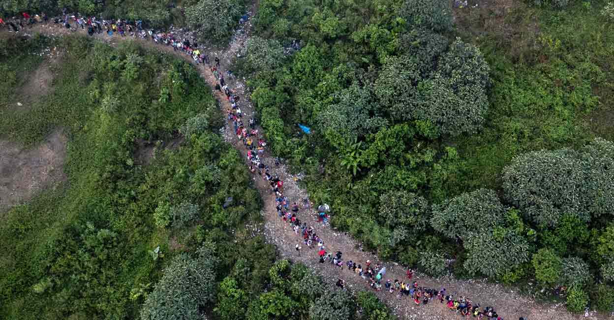 Darien Gap Panama’s President-elect Jos Ral Mulino has said that he will shut down the migration route. Photo: AFP