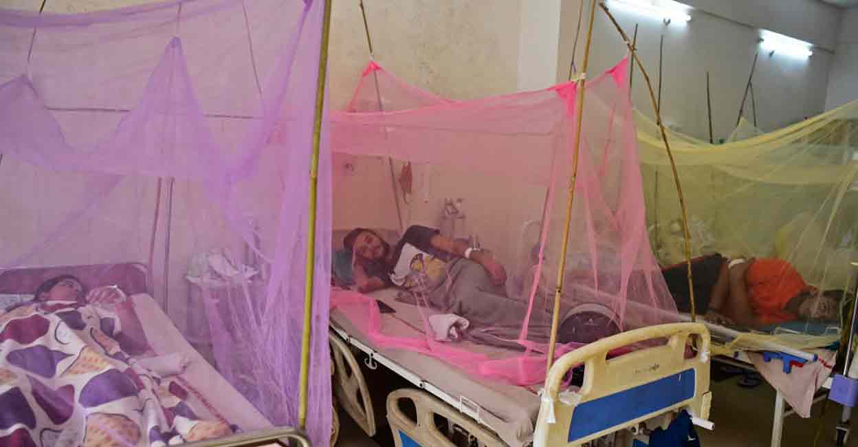 The prequalification of TAK-003 is an important step in the expansion of global access to dengue vaccines, as it is now eligible for procurement by UN agencies including UNICEF. Photo: AFP