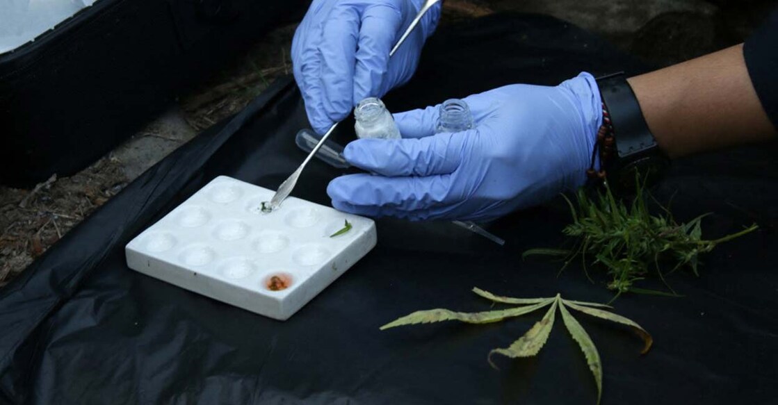 The number of people who use drugs has risen to 292 million in 2022, a 20 per cent increase over 10 years. Photo: AFP