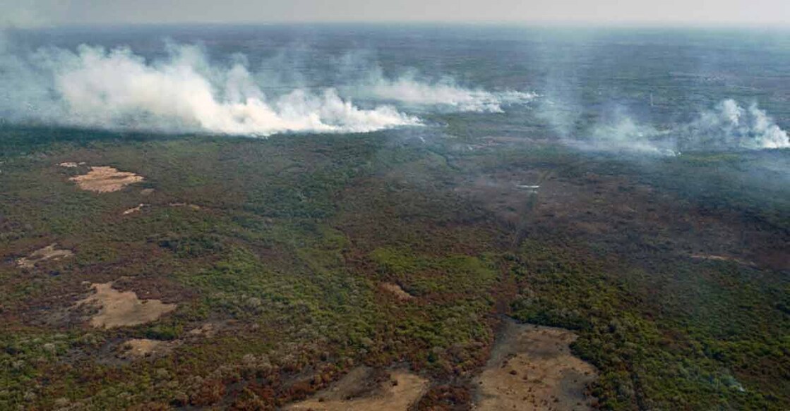 The Pantanal is the world’s largest tropical wetland. Photo: AFP
