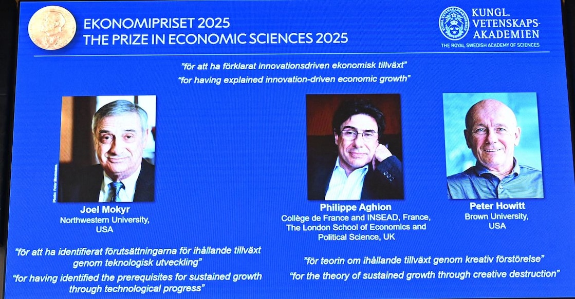 Copy of Jose Article Images - 16