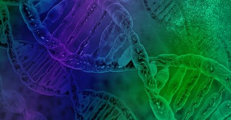 Scientists store Computer OS, short movie in DNA