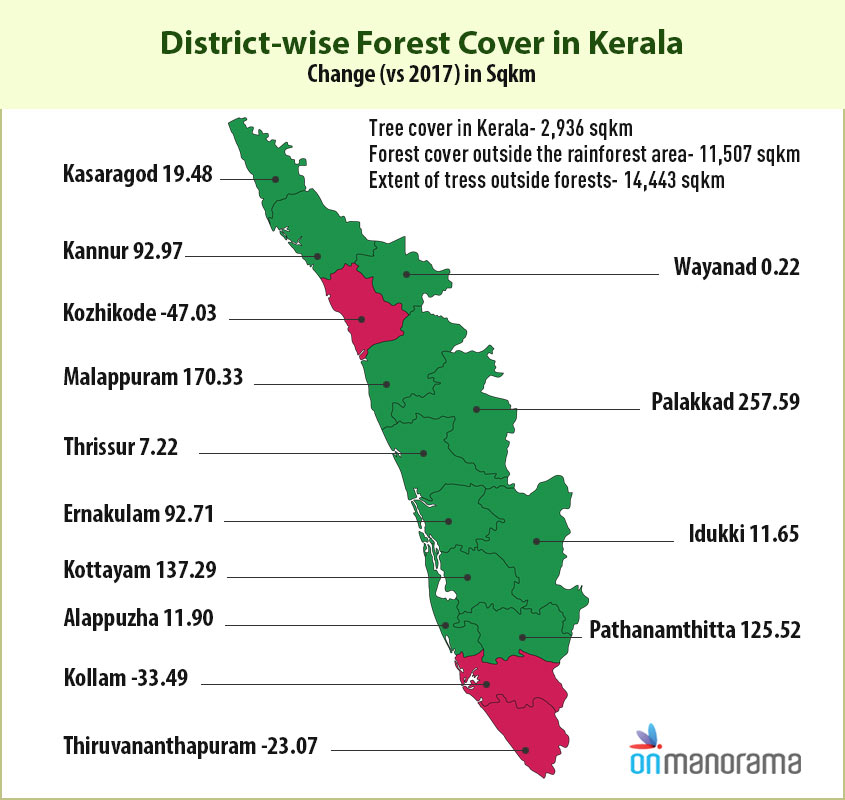 Forest in Kerala