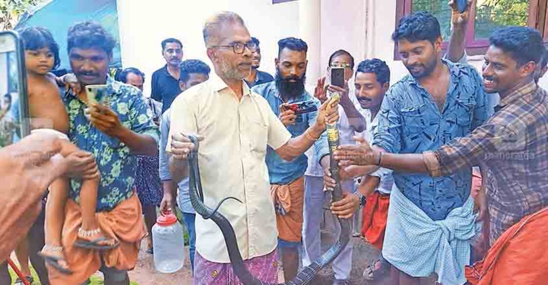 King cobra caught from washing machine at Nilambur house King cobra caught from washing machine at Nilambur house