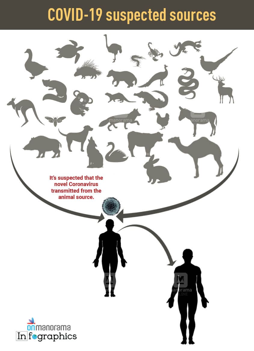 Coronavirus