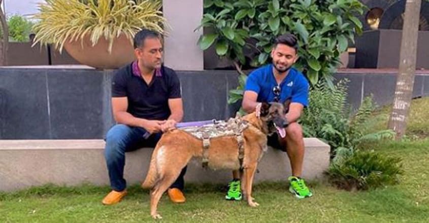 Good vibes, says Pant as he posts photos with Dhoni | Cricket News ...