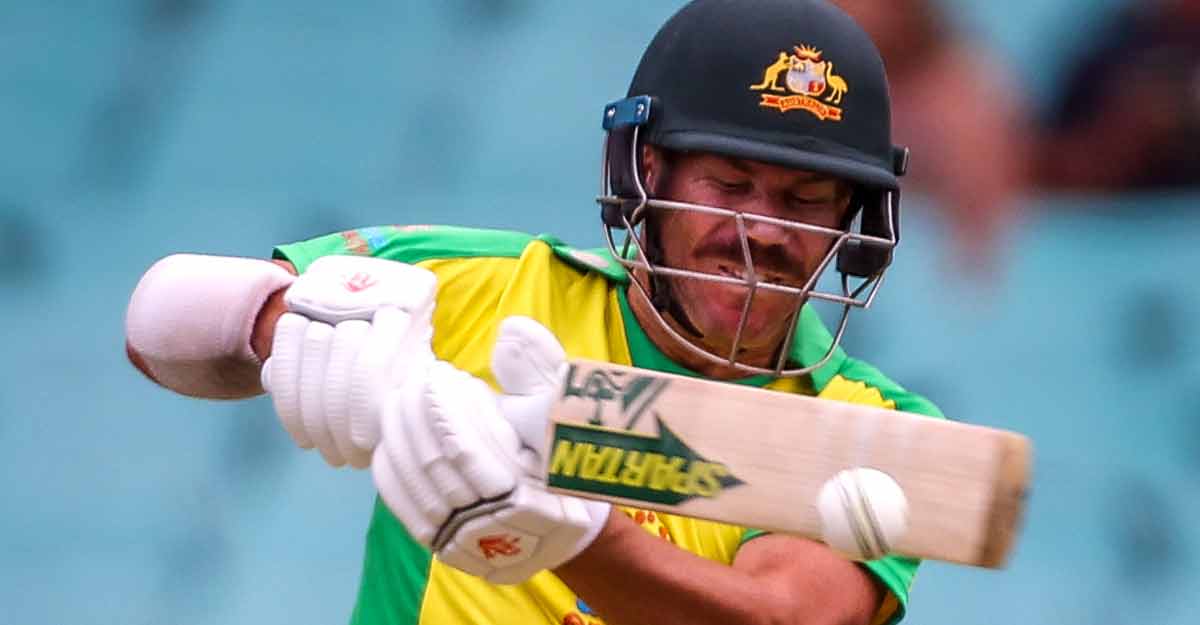 David Warner David Warner