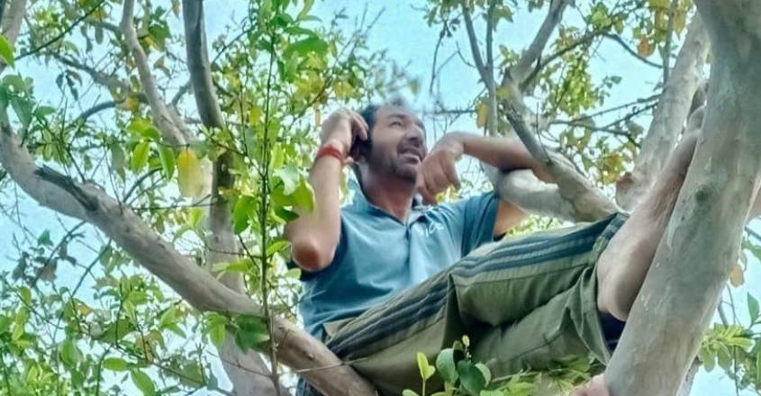 Umpire Anil Chaudhary climbs up trees for mobile network in UP village