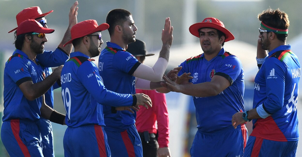 T20 World Cup: Afghanistan crush Namibia | T20 World Cup News | Onmanorama