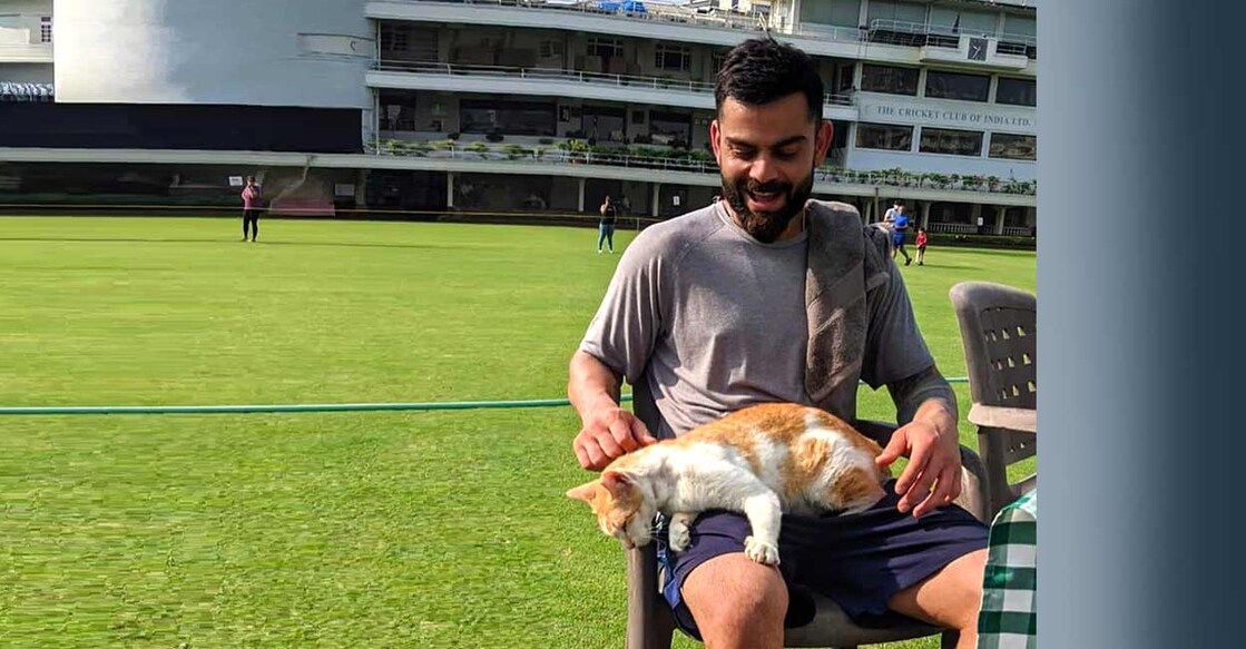 Kohli shared a picture of him playing with a cat. Photo: Twitter/@imVkohli