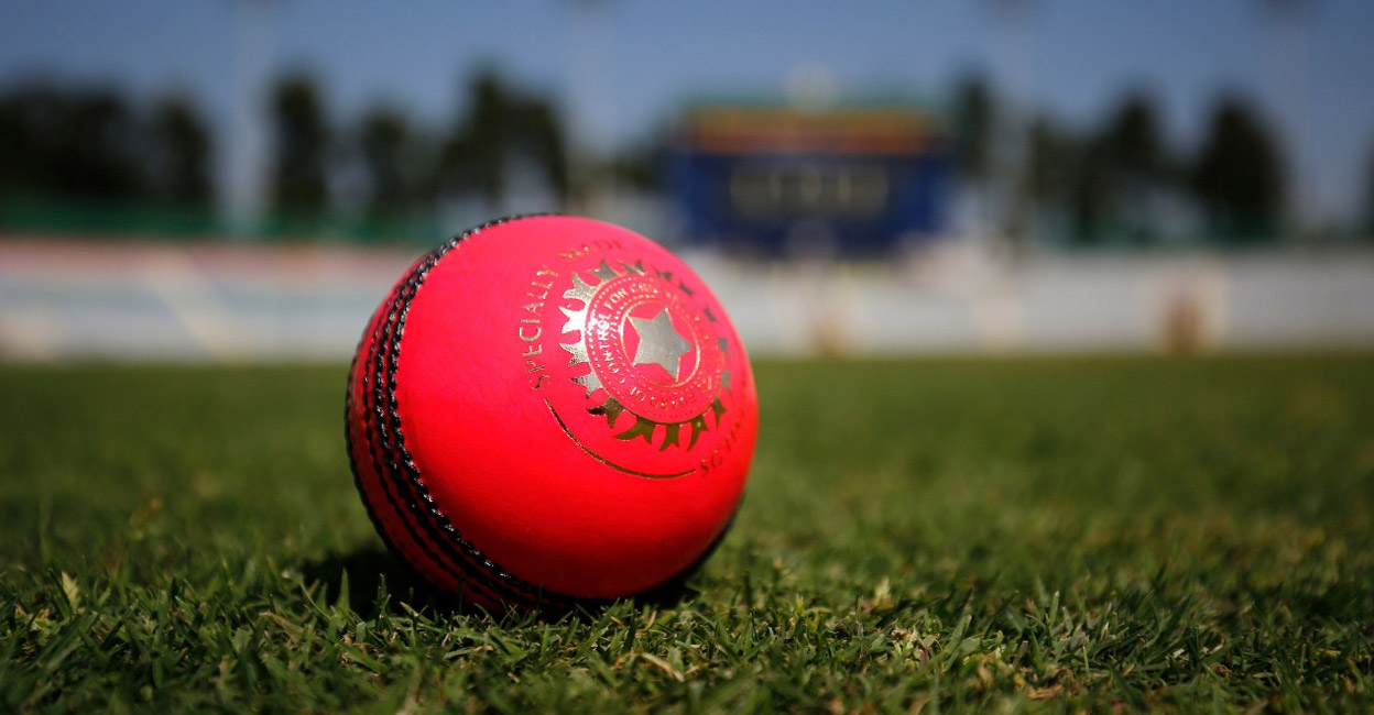 It will be India's third pink-ball Test at home. File photo: IANS