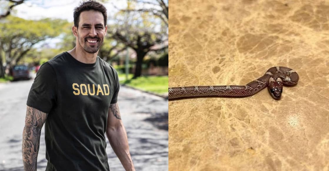Mitchell Johnson spotted a snake in his hotel room. Photos: Insta/FB@MitchellJohnson