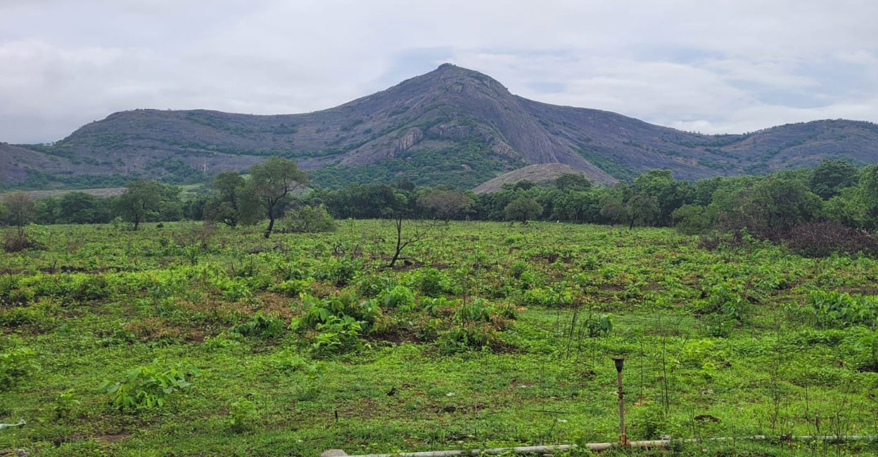 The land belonging to Sri Chathankulangara Devi Temple's trust, where Kerala Cricket Association will built a sports hub for Rs 30cr. Photo: Special arrangement