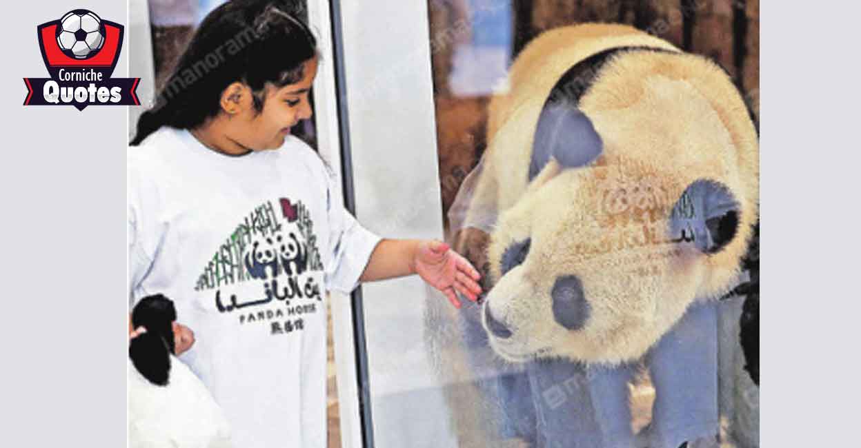 Soothsayer pandas get it right, but break Qatari hearts