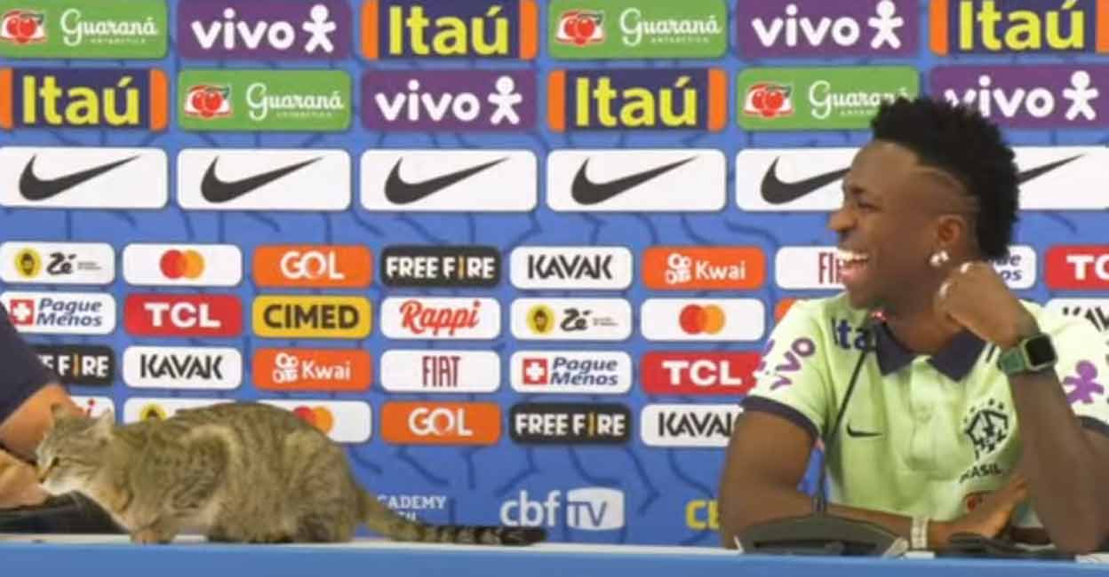 A screenshot from a video of Vinicius Junior looking at the cat during his press conference.