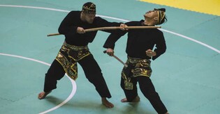 Sambo, pencak silat and eight other new events at the Asian Games