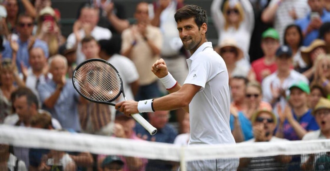 Wimbledon: Clinical Djokovic destroys Goffin to reach semis