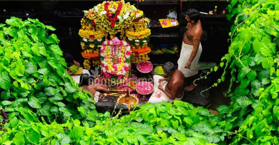 Panachikkad The Dakshina Mookambika