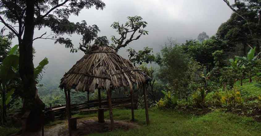 african-trip7