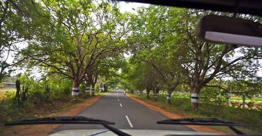 Lessons in nature conservation Kerala can learn from Tamil Nadu