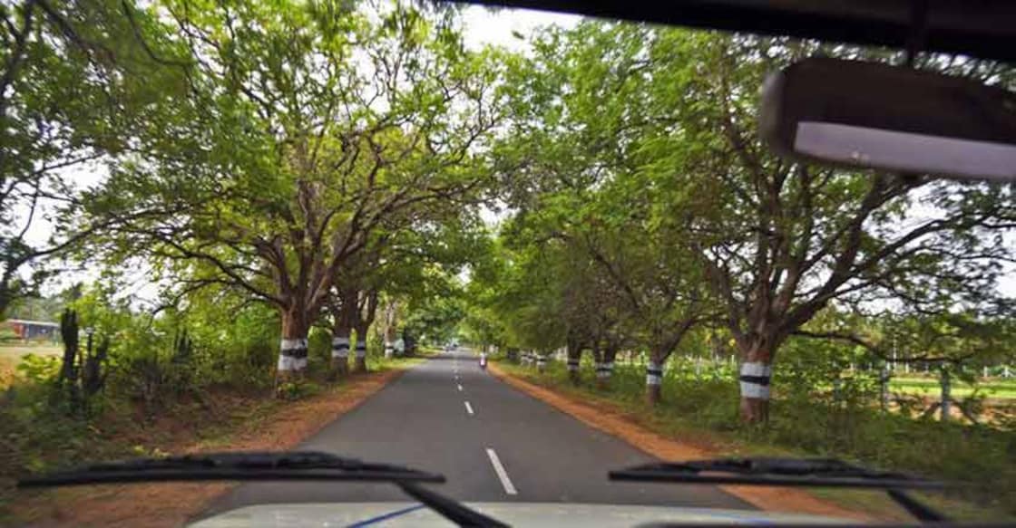 Lessons in nature conservation Kerala can learn from Tamil Nadu Lessons in nature conservation Kerala can learn from Tamil Nadu