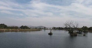 Experiencing the wild in Nilgiri hills