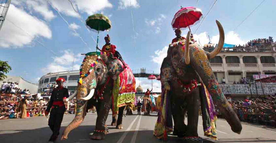 Mahouts ride decorated elephants as they pass in a procession through a street on the last day of Dusshera celebrations in Mysore, India, Monday, Oct. 14, 2013. According to Hindu mythology the festival celebrates the slaying of the demon Mahishasura by the goddess Chamundeeswari or Durga and the triumph of good over evil. (AP Photo/Aijaz Rahi)