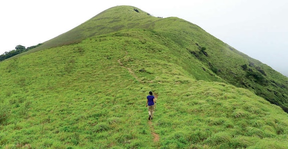 Brahmagiri Brahmagiri