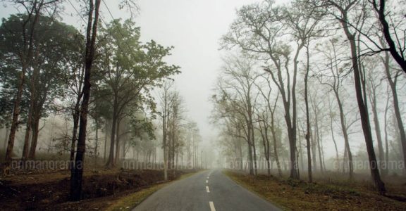 Wayanad - Kodagu Wayanad - Kodagu