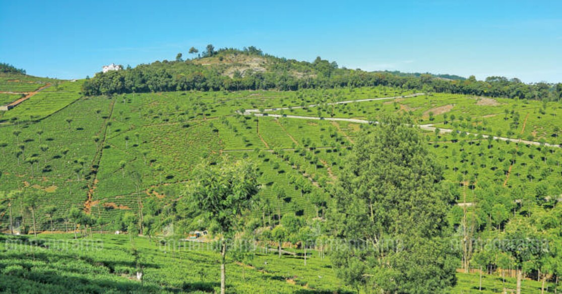 Owing to its cooler weather and calmness, many travellers now prefer Kotagiri to Ooty. Photos: Tibin Augustine