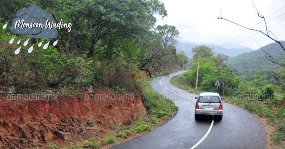 The Attappady-Mully Road. Photo: Dhanesh Ashokan
