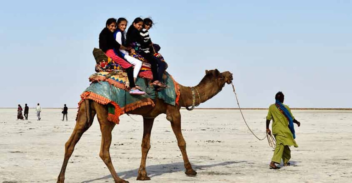 Animal use may risk COVID-like disease in tourist spots