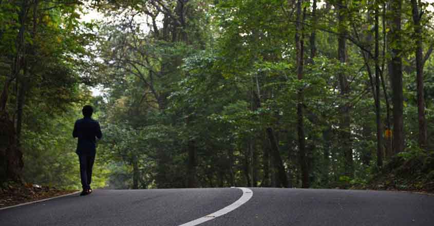 chalakudy-athirapilly chalakudy-athirapilly