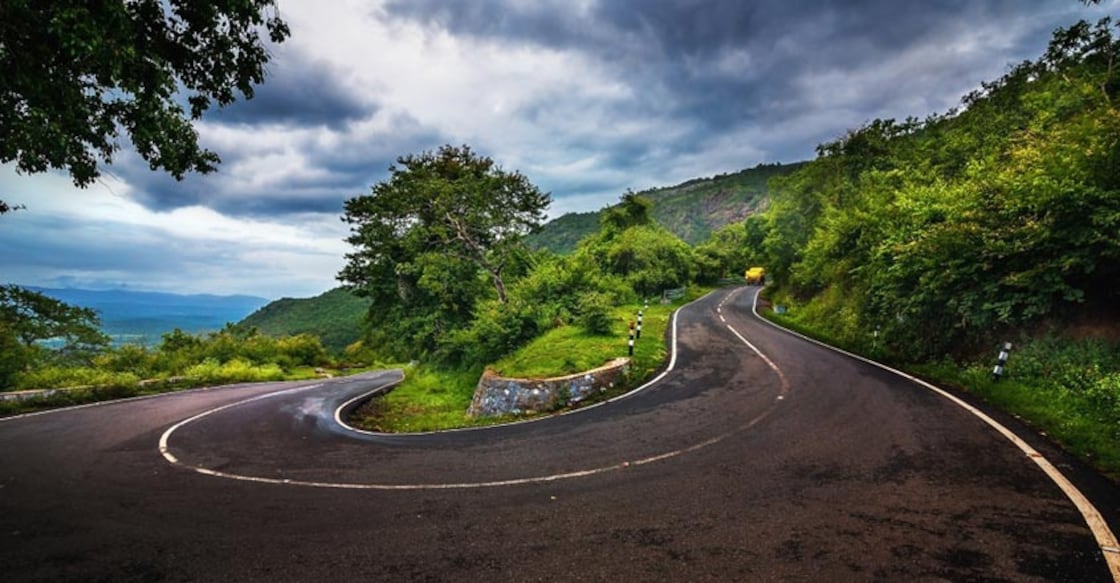 Mukurthi national park, a haven for Nilgiri tahr