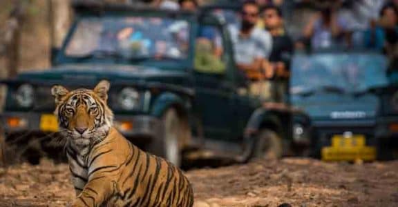 Experience beauty of Ranthambhore at Oberoi Vanyavilas Resort Experience beauty of Ranthambhore at Oberoi Vanyavilas Resort