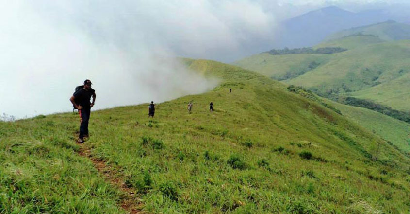 brahmagiri brahmagiri