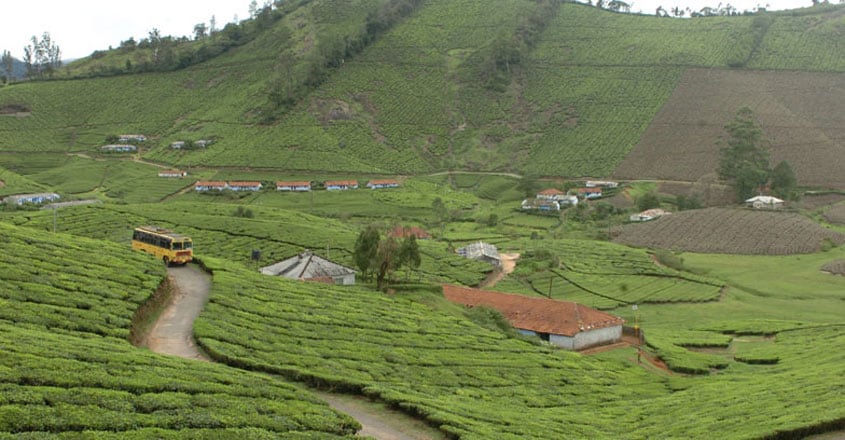 meghamalai-trip meghamalai-trip